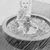 Lucy Hollis's profile image