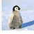 Becky Perot Palmer's profile image