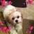 Amy Montoya's profile image
