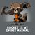Adam Rowe's profile image