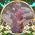 Ana Rodriguez's profile image