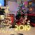 Yolanda Solorzano's profile image