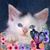 Darlien Cole's profile image