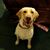 Joy Harley's profile image