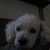 Cathy Pines's profile image