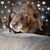 Dawn Duggan's profile image
