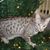 Judith Peterson's profile image