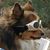 Trevor Nemeth's profile image