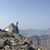 Brenda L Winkler's profile image