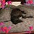Gretchen Kunda's profile image