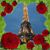 Cindy Campbell's profile image