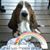 Jaime Lam Sayer's profile image