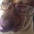 Natasha Stanton's profile image