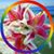 Christina Hall Owens's profile image