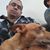 Victor Barrientos's profile image