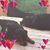 Andrya Carter's profile image