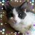Judith Salkin's profile image