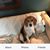 Jeanne D'Auria Brady's profile image