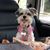 Heather Kay-Reagan's profile image