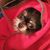 Delores Lohman's profile image
