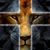 Thelma Carrillo's profile image