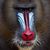 Joy Pedraza's profile image