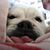 Laureen Petrillo's profile image