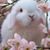 Shirley Seager's profile image