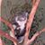 Kris Thompson's profile image