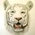 Helen Hannum's profile image