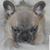 Becky Holcomb's profile image