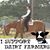 Dawn Koffel-Allison's profile image