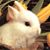 Arlene Donna's profile image
