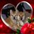 Kelly N Rod Ruffing's profile image