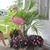 Linda Gough Arbogast's profile image