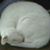 Carolyn Marret Mills's profile image