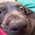 Angie Chad Swihart-Wilbur's profile image