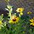 Martha Parkhurst's profile image