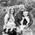 Joyce Edwards's profile image