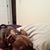 Ellen Mosher's profile image