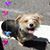 Joanne Jyl's profile image