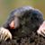 Nur Athirah's profile image