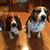 Christine Gransbury Smith's profile image
