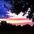 Tammy Morgan's profile image