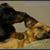 Scott Hays-Strom's profile image