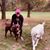 Miette Phillips Legrand's profile image