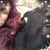 Jessica Mintz's profile image