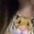 Jeanne Phillips's profile image