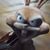 Carrie Ducheneaux Young's profile image