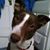 Toni Kerschner Smith's profile image